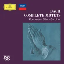 J.S. Bach: Ich lasse dich nicht, du segnest mich denn, BWV 1164 (Anh. 159)