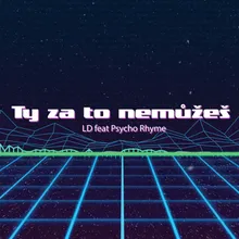 Ty za to nemůžeš