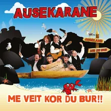 Bruremarsj frå Auseland