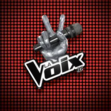 La voix que j'ai-La chanson des coachs de La Voix/Version Studio