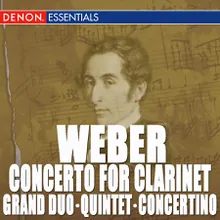 Concerto for Clarinet and Orchestra No. 1 in F Minor, Op. 73: I. Allegro