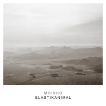 Elastikanimal