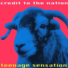 Teenage Sensation 12" Mix