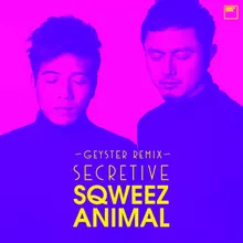 Secretive Geyster Remix