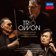 Tchaikovsky: Piano Trio in A Minor, Op. 50, TH.117 - Var. III: Allegro moderato