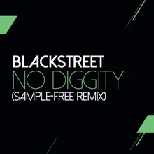 No Diggity-Sam Wilkes & Brian Green Sample Free Remix