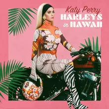 Harleys In Hawaii