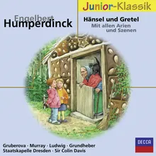 Humperdinck: Hänsel und Gretel / Act 1 - "Wenn sie sich verirrten im Walde dort"