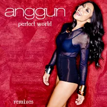Perfect World Spin & X Remix