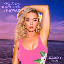 Harleys In Hawaii-KANDY Remix