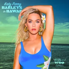 Harleys In Hawaii-Win and Woo Remix