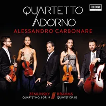 Brahms: Clarinet Quintet in B Minor, Op. 115 - 1. Allegro