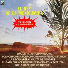 Tema De Trini-Ton