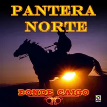 Donde Caigo (Era Noche)