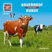 Tiere auf dem Bauernhof