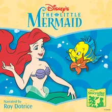 The Little Mermaid Storyteller