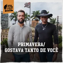 Primavera / Gostava Tanto De Você