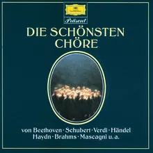 Beethoven: 6 Sacred Songs, Op. 48 - Arr. F. Mottl: Die Ehre Gottes aus der Natur