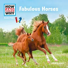 Fabulous Horses - Part 02