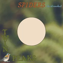 Spiders (Kidsmoke)