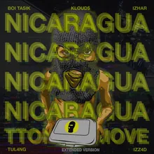 NICARAGUA-Extended Version