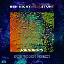 Raindrops-Sub Sonik Remix