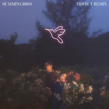 Hummingbird Trifect Remix