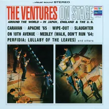 Medley: Walk, Don't Run/Perfidia/Lullaby Of The Leaves Live/1965