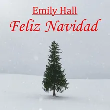 Feliz Navidad Acoustic Cover