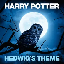 John Williams: Hedwig's Theme From "Harry Potter And The Philosopher's Stone"