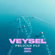 PELICAN FLY