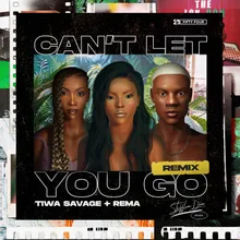 Can't Let You Go Remix