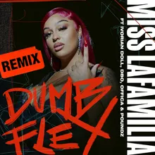 Dumb Flex-Remix