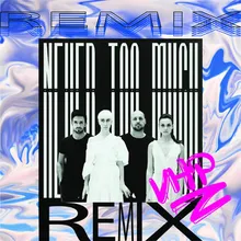 Never Too Much Mattei & Omich Remix