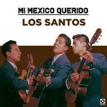 Oye Mi Canción