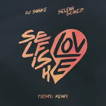 Selfish Love-Tiësto Remix