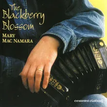 Blackberry Blossom / Sandy Carty's (reels)