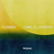 Filament Charlie Lim Remix