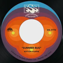 Summer Bug
