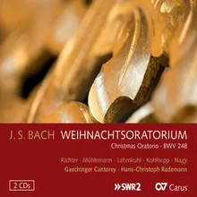 J.S. Bach: Christmas Oratorio, BWV 248 / Part Five - For the First Sunday in the New Year - No. 49, Warum wollt ihr erschrecken?