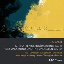 J.S. Bach: Ich hatte viel Bekümmernis, Cantata BWV 21 / Pt. 2 - 7. "Ach Jesu, meine Ruh, mein Licht"