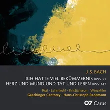 J.S. Bach: Ich hatte viel Bekümmernis, Cantata BWV 21 / Pt. 2 - 8. "Komm, mein Jesu, und erquicke"