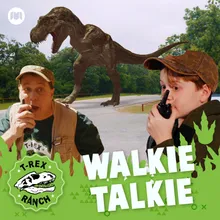 Walkie Talkie