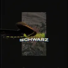 Schwarz