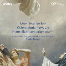 J.S. Bach: Lobet Gott In Seinen Reichen, BWV 11 - VII. Recitativo: "Und da sie ihm nachsahen"