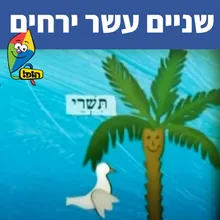 12 ירחים