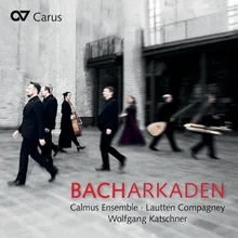 J.S. Bach: Gottlob! nun geht das Jahr zu Ende, Cantata BWV 28 - I. Gottlob! nun geht das Jahr zu Ende