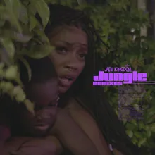 Jungle R3HAB Remix