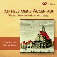 Heinichen: Herr, nun lässest du deinen Diener - III. O Schatz, vergnüge mich