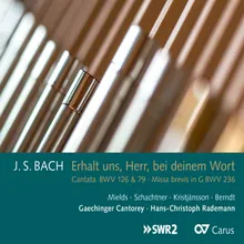 J.S. Bach: Erhalt uns, Herr, bei deinem Wort, BWV 126 - V. So wird dein Wort und Wahrheit offenbar